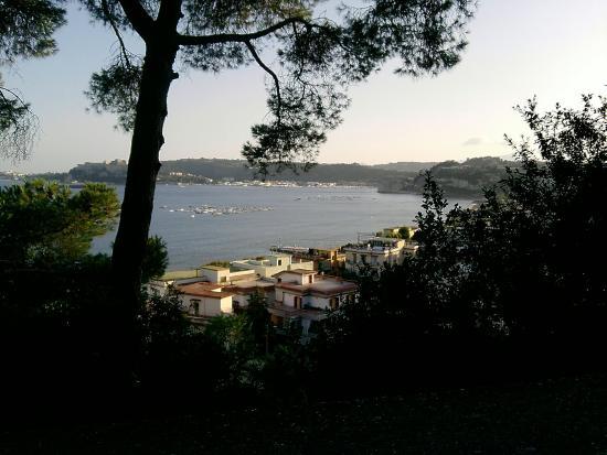 Oasi Naturalistica di Montenuovo